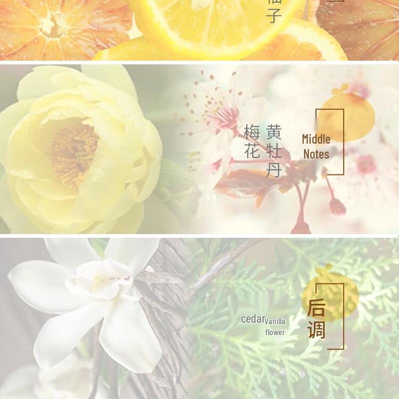 Syoss Oil Control Volumizing Shampoo