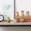 Creative Cartoon Kiln Transformation 6pcs Set Owl Ceramic Succulent Plant Pots with Drainage Holes, Adorable Small Planters with Plant Stands