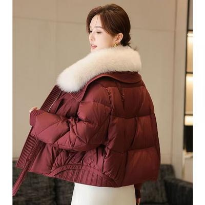 Casaco Acolchoado Curto de Inverno Feminino Moda Solto Espessado Jaqueta de Algodão Tamanho Grande Gola de Pelo