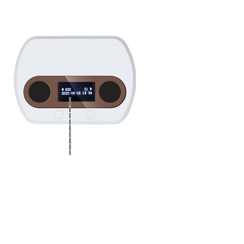 Binocular People Flow Statistics Camera