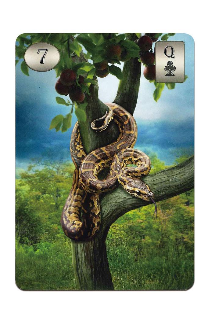 Lenormand Cards, 36 cards, for fortune-telling [Official Import] [Thelema Lenormand Oracle Cards] with Japanese instruction sheet, "Beautiful Digital