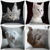 Cute Kitten Postures Digital Print Pillow Covers Pattern Cushion Cover Suitable for Sofa Bedroom Car Pillow Cover