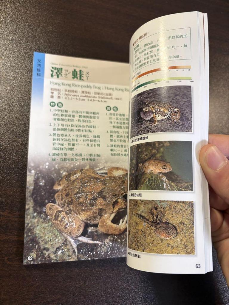 [USED] Reptile and Amphibian Encyclopedia Taiwanese Foreign Books Valuable