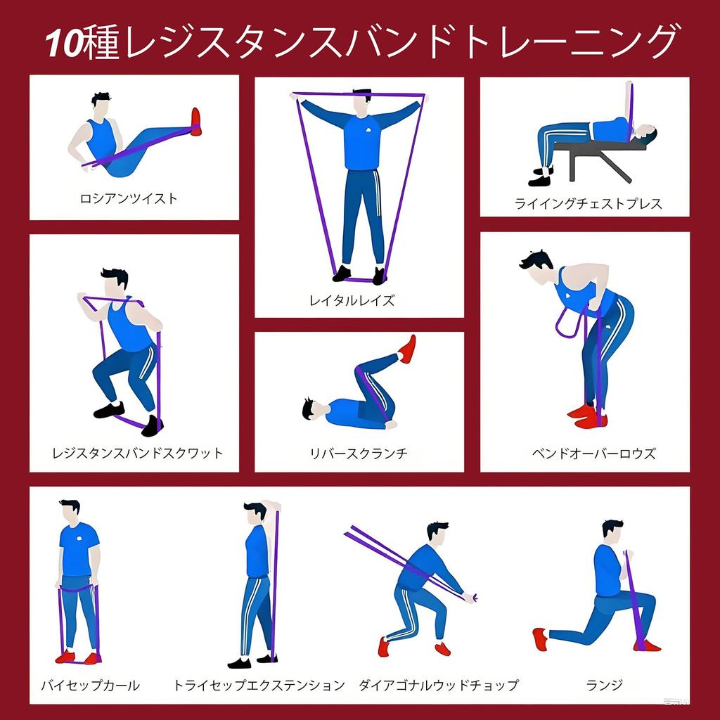 VeloX Support and Training Band Set Adjustable Includes Storage Ideal for Home Strength and Unisex Pull-Up Full-Body (4 Levels) - Bag, Training,