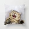 Home Decor Witchcraft Cat Stealing  Cushion Cover Cute  Sofa Car Decoration 45x45cm Pillowcase Square Polyester