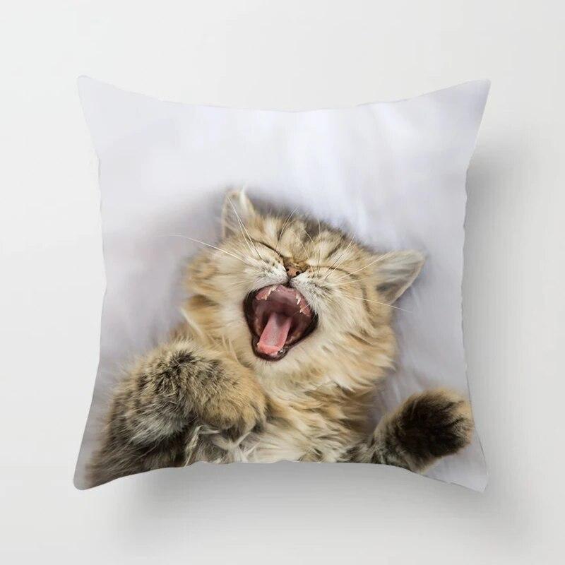 Home Decor Witchcraft Cat Stealing  Cushion Cover Cute  Sofa Car Decoration 45x45cm Pillowcase Square Polyester