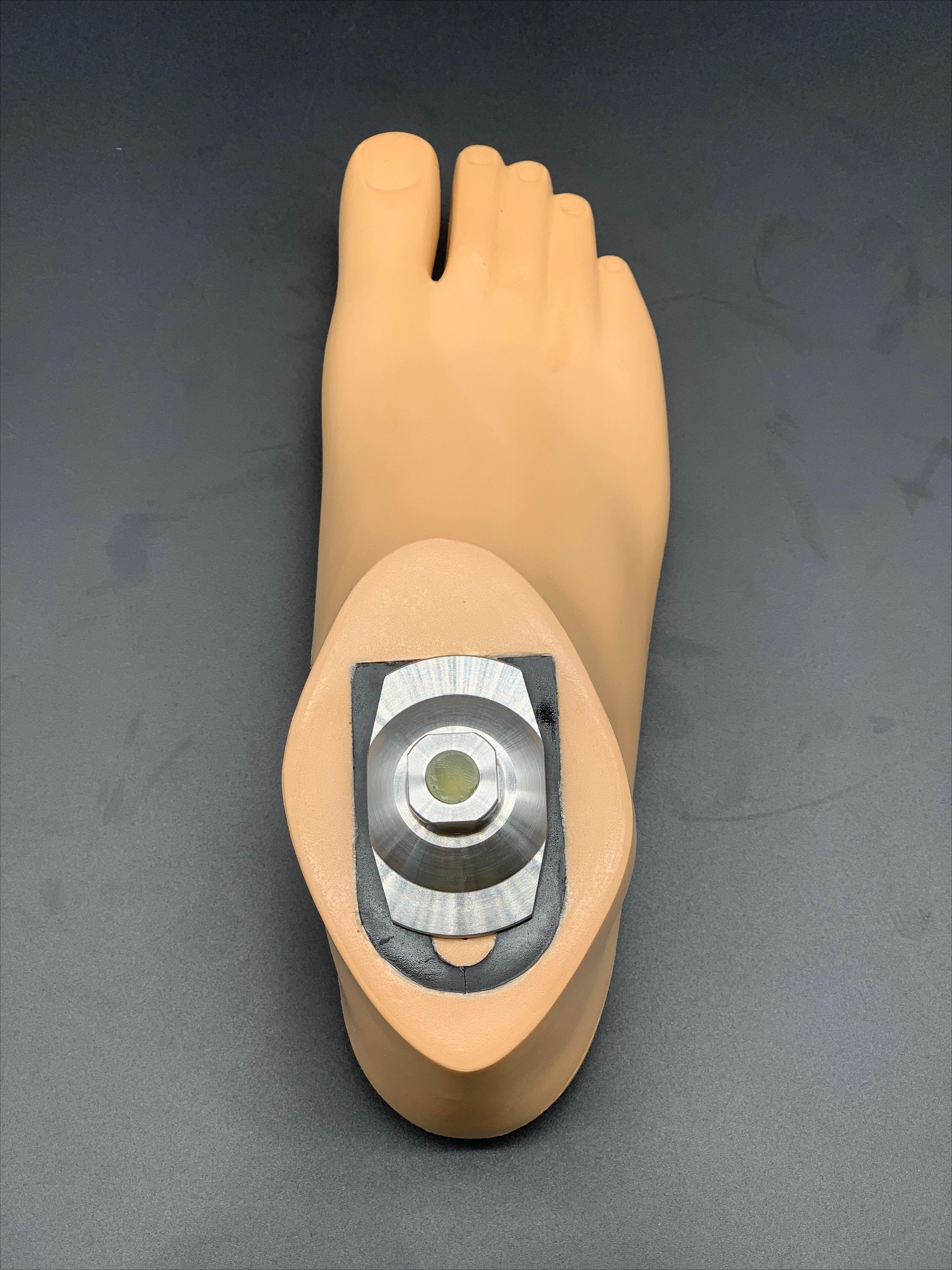 

Dynamic Prosthetic Foot with Stainless Steel Adapter Waterproof 22-28cm L/R 28-right чорний