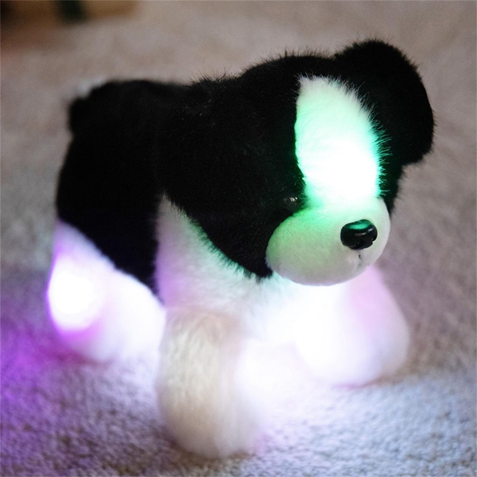 

Плюшевая собачка-игрушка со световыми эффектами, лежащая кукла Бордер-колли, Подарок, Кукла со световыми эффектами One Size