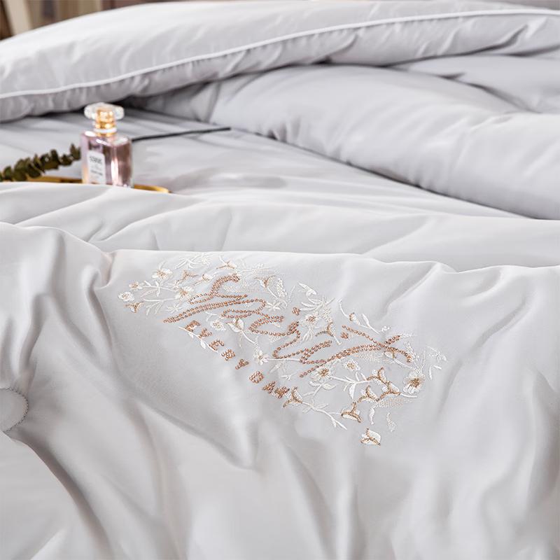 Dongfang Shiguang Super Soft Velvet Spring/Autumn Quilt