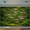 2D Enchanted Forest Wall with Greenery and Wildflowers Photo Background