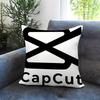 Fashion Ccapcutful Cushion Cover Comfortable Reversible Pillow Cover Ideal for Car Sofa Bedroom  Beyond