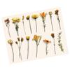 30Pcs Vintage Plants Flowers Leaves Stickers Vintage Retro Flower Plant Stickers Decals for Laptop