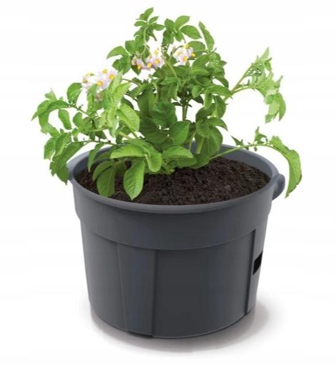Pot for growing and planting Eco potatoes and vegetables 28 l