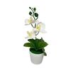 Creative 26cm Simulated Butterfly Orchid DIY Gifts Artificial Orchid Bonsai Faux Flowers for Outdoor Indoor Office