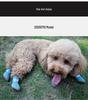 Breathable Non-slip Dog Shoes for Small Breeds