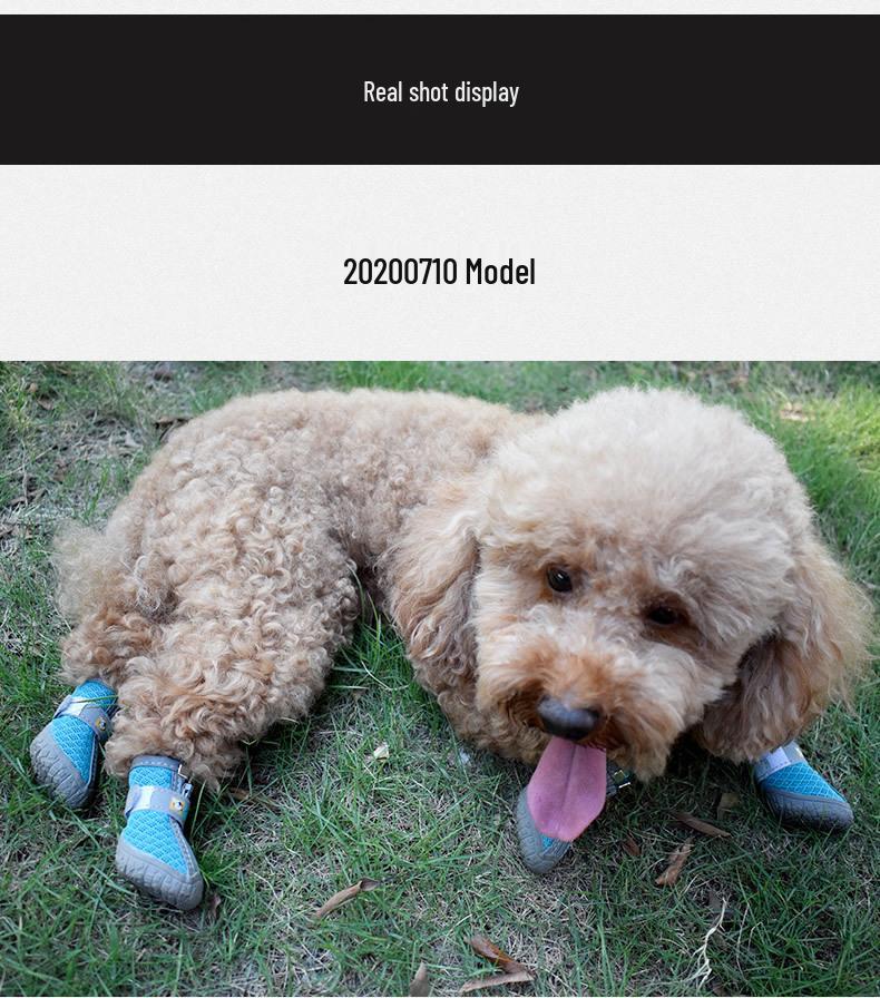 Breathable Non-slip Dog Shoes for Small Breeds