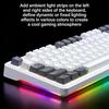 Bluetooth And Wired Mechanical Keyboard, Hot-Swappable Gasket Keyboard, Space Odyssey Astral Gold Switch