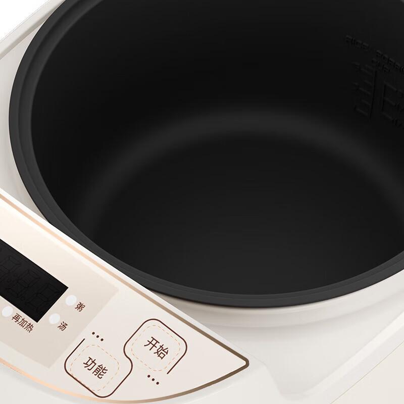Thermos Smart Multi-functional 3L Rice Cooker EHA-4130A-CG CN plug (adapter included)