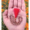 Apnisanskriti Lab Zertifizierte Sumarini Rudraksha Mala 10mm -