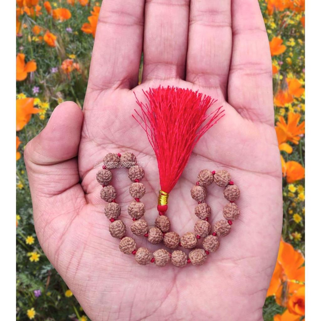 Apnisanskriti Lab Zertifizierte Sumarini Rudraksha Mala 10mm -