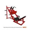 Yishi Dual-Function Leg Press & Hack Squat Machine