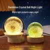 Dandelion Crystal Ball Night Light with Preserved Flower 3D Carving Luminous Resin Ornament.