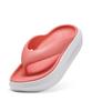 Puma Platter Flip (40049803)