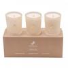 Cremello Discovery Scented Candle (Pack of 3)