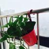 Space-saving Flower Bucket with Hook Iron Detachable Hanging Plant Holder for Railing