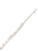 AUROSUS Intermediate Flute Open Hole 17 Key  Offest G French Model B Footjoint with Gizmo  Flute