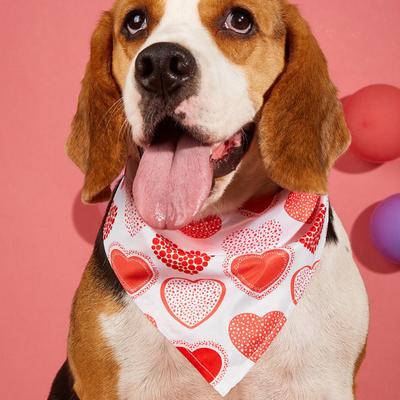Haustier Speichel Tücher Verstellbarer Riemen Exquisites Herzmuster Haustier Reinigungstuch Haustier Valentinstag Party Geburtstagszubehör
