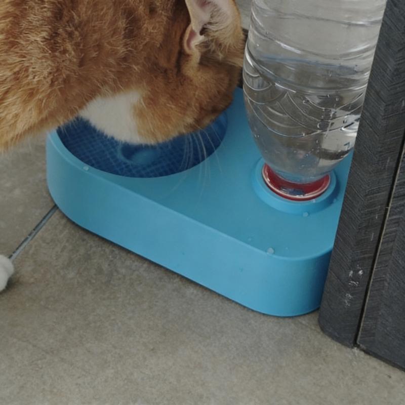 Convenient Pet Water Dispenser Watering Bowl For Small Animals AntiSlip Base Water Fountain for Mineral Water Feeding
