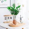 Creative transparent hydroponic plant flowerpot, green ivy, copper money grass, imitation glass vase, plastic resin ornament