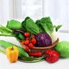 Sample Multi-Styles Home Decorations Artificial Vegetable Vegetable Model Photography Props
