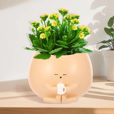 Resin Small Flower Pot Succulent Plant Pot Mini Potted Vase With Bottom Drainage Holes for Desktop Balcony Garden Flower Pot Dec
