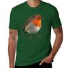 Robin T-Shirt Sommeroberteile Tierdruck für Jungen Herren-T-Shirt