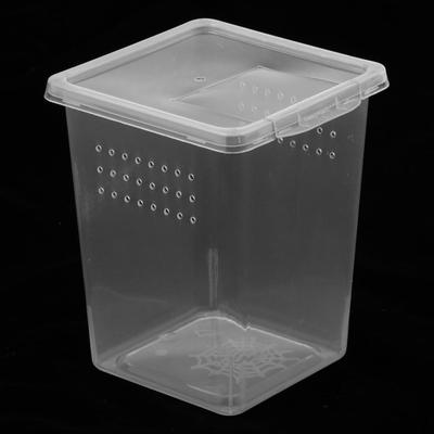 Plastová želva Hmyz Snake Spider Habitat Box na krmení Nádoba OPAKOVANĚ POUŽITELNÁ 3x3x4 palce