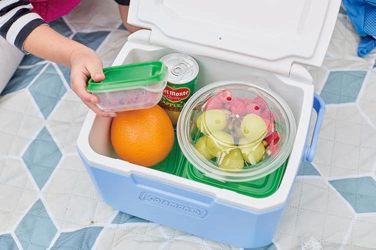 Coleman Take 6 Cooler Box Perfect for sports cherry blossom club lunch and other outdoor Durable and powerful cooling system for heat (Orange) -