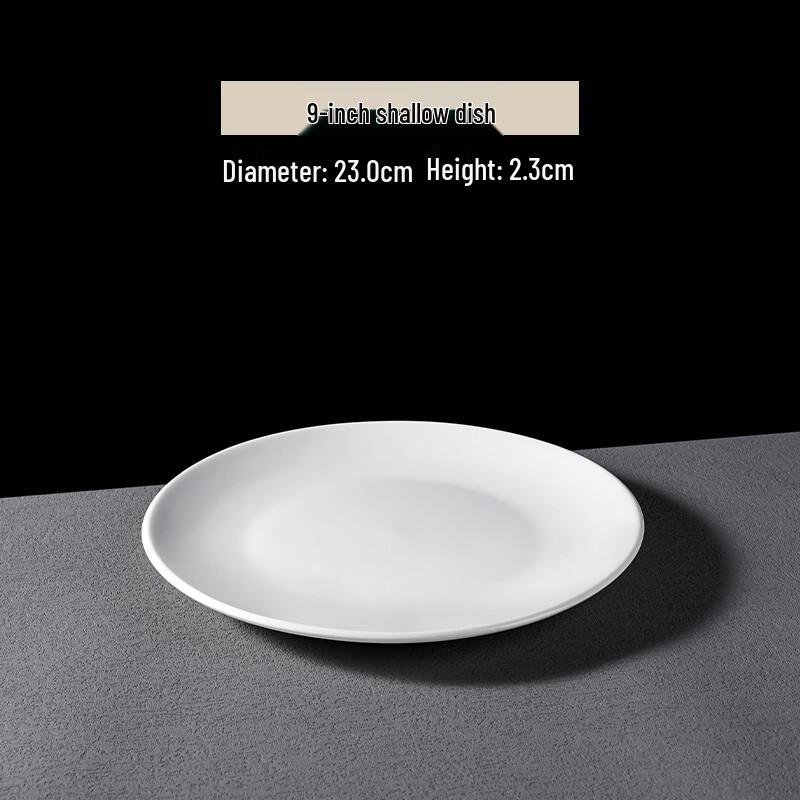 Pure White Ceramic Dinner Plate Set (4-Pack)