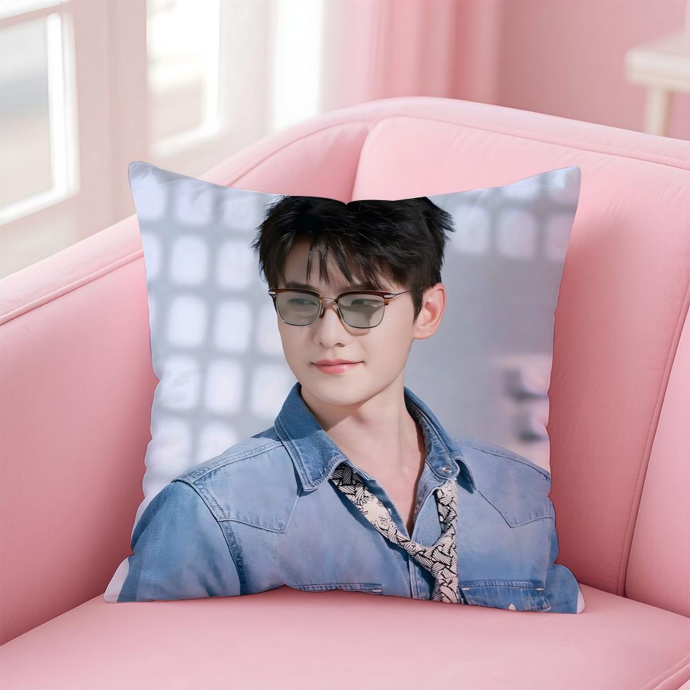 actor handsome YYang Yang Cushion Cover Pillow Case Soft Skin Friendly Fabric  Concealed Zipper
