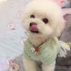 For Small Cats Dogs Kitten Coat Puppy Outfit Pet Clothing Cat Jacket Dog Supplies Dog  Clothes
