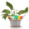 50 Buc. Etichete de Plante din Plastic în Formă de T, Etichete Groase pentru Marcare, Etichete pentru Plante de Grădină, pentru Ghivece de Flori