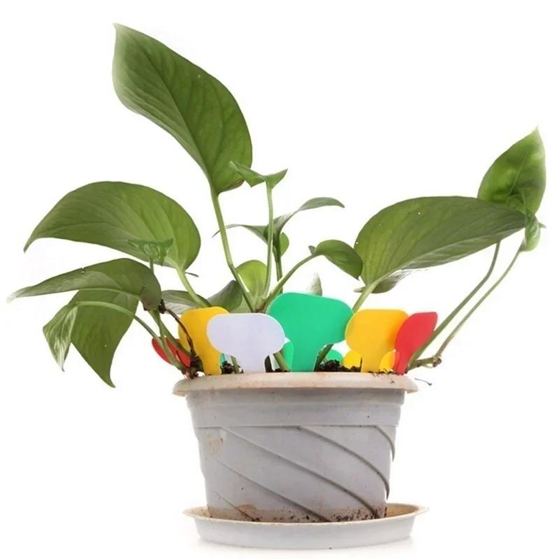 50 Buc. Etichete de Plante din Plastic în Formă de T, Etichete Groase pentru Marcare, Etichete pentru Plante de Grădină, pentru Ghivece de Flori