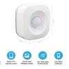 Graffiti Tuya WiFi Infrared Motion Sensor for Alexa
