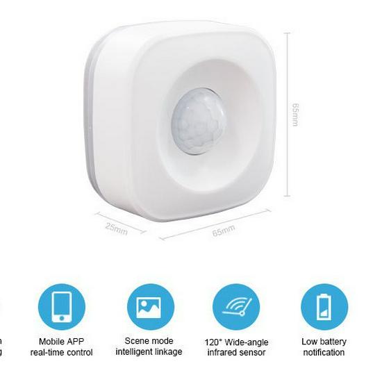 Graffiti Tuya WiFi Infrared Motion Sensor for Alexa