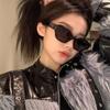 Vintage Small Frame Sunglasses Women Trendy Sweet Cool Babes Wind Sunglasses Advanced