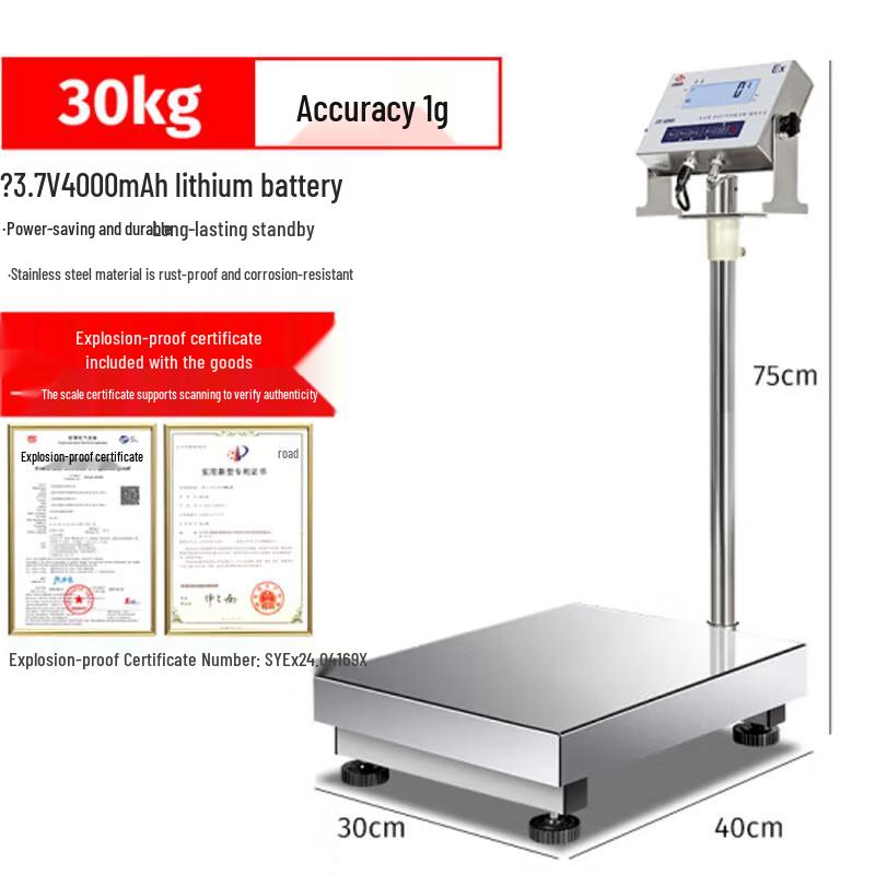 HC Explosion-Proof High-Precision Industrial Scale
