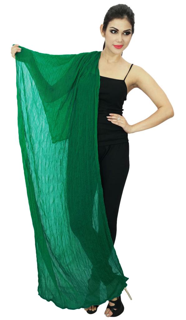 Chiffon Blend Indian Scarves Women Wear Stole Neck Wrap Chunni Long Dupatta