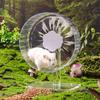 Produtos para animais – Roedores
