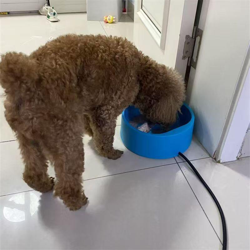 Pet Heated Water Bowl with Thermostat for Cats & Dogs - Winter Smart Insulated Plate
